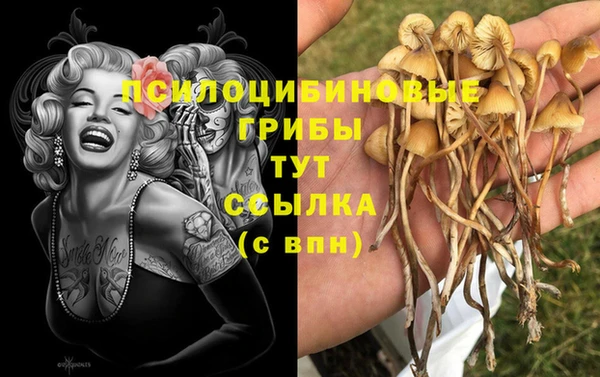 прущая мука Балахна