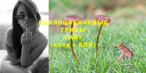 ГАЛЛЮЦИНОГЕННЫЕ ГРИБЫ Арсеньев