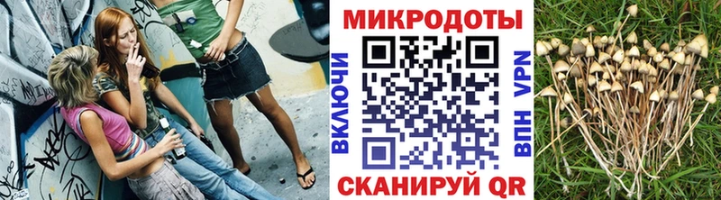 Галлюциногенные грибы Psilocybine cubensis Боготол